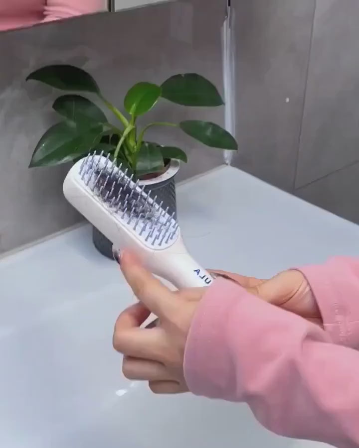 Self-Cleaning Hair Brush